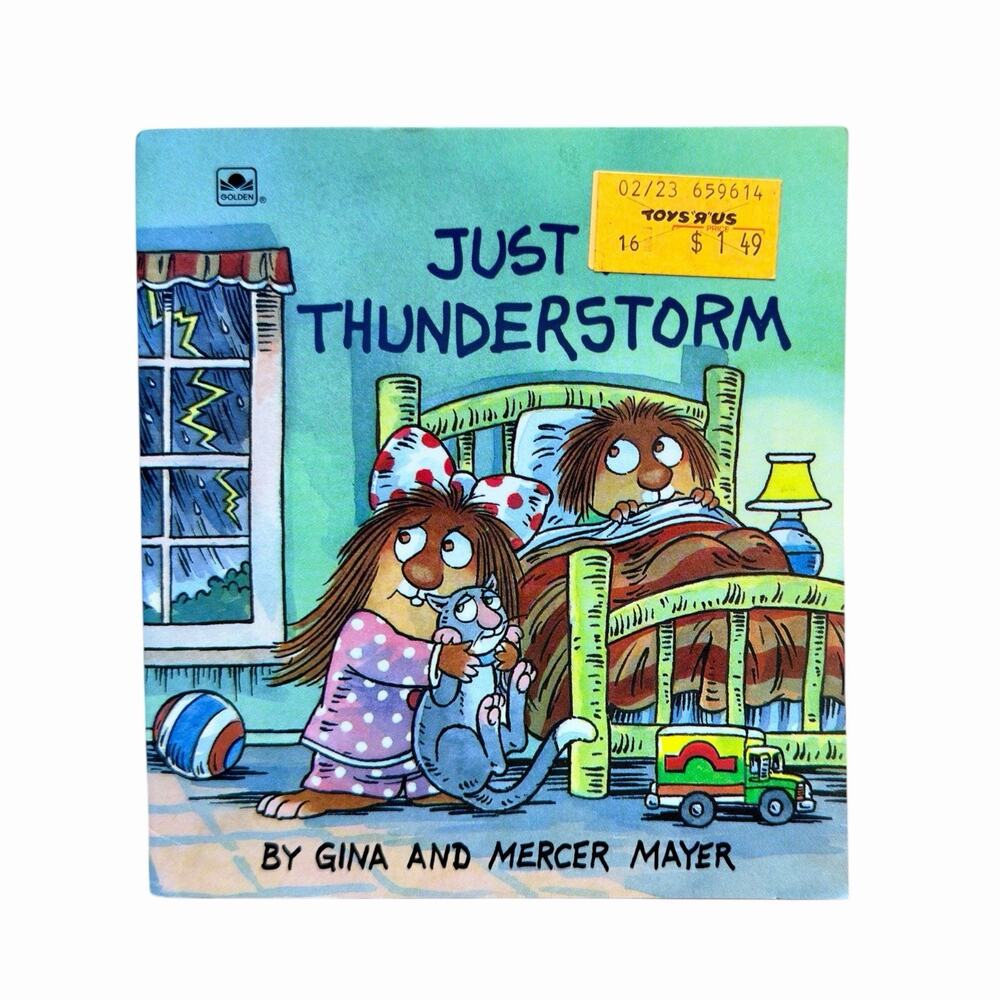 Vintage 1993 Just a Thunderstorm Mercer Mayer Golden Little Look-Look Book